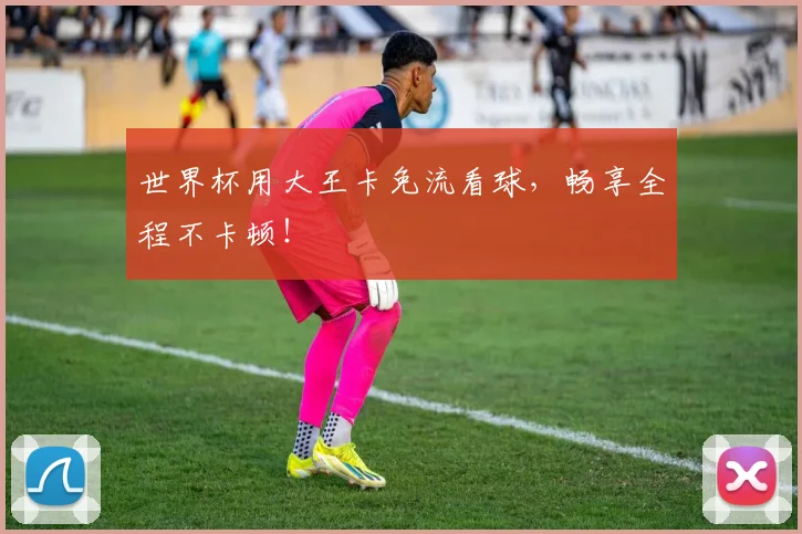 世界杯用大王卡免流看球，畅享全程不卡顿！