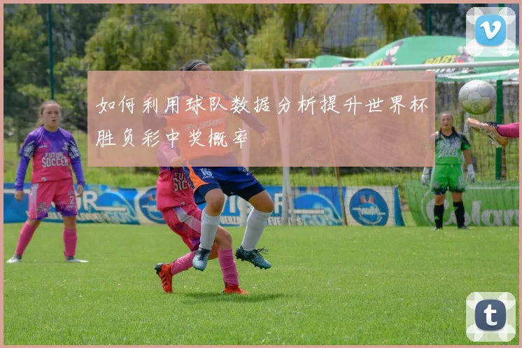 如何利用球队数据分析提升世界杯胜负彩中奖概率