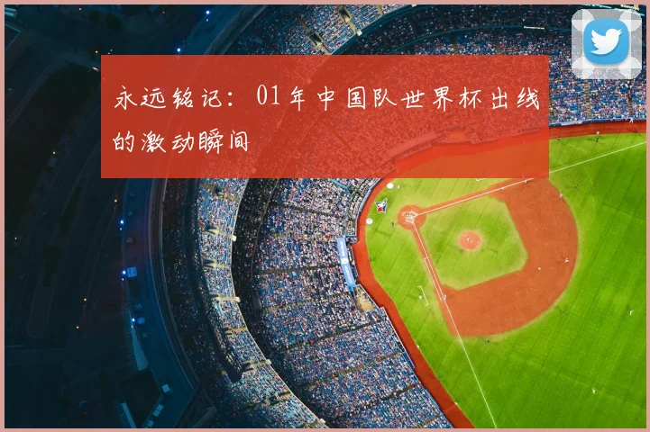 永远铭记：01年中国队世界杯出线的激动瞬间