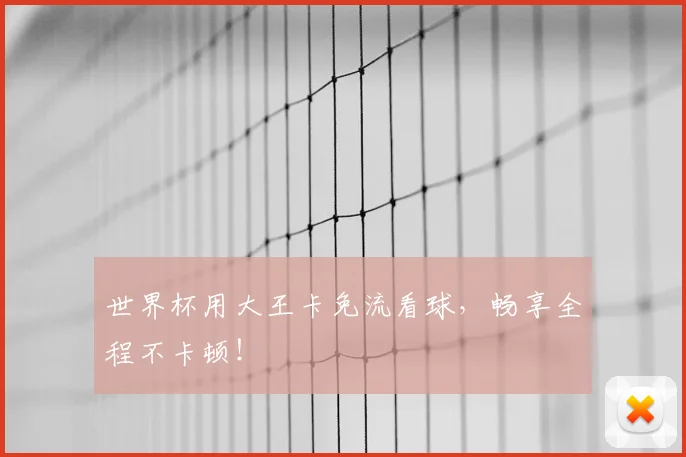 世界杯用大王卡免流看球，畅享全程不卡顿！