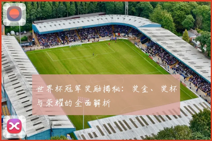 世界杯冠军奖励揭秘:奖金、奖杯与荣耀的全面解析