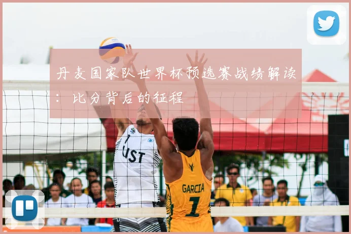 丹麦国家队世界杯预选赛战绩解读:比分背后的征程